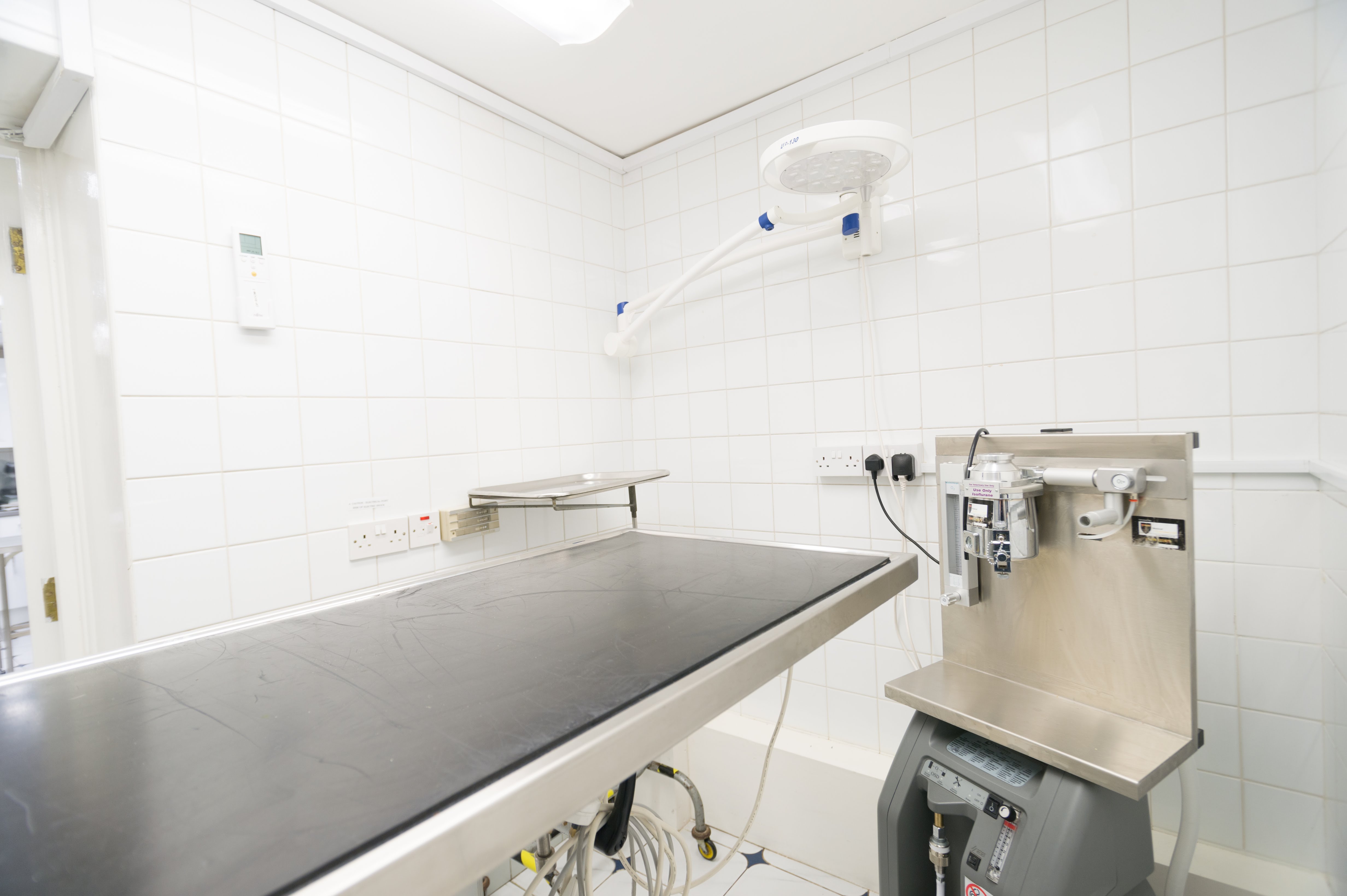 Images Streatham Hill Veterinary Surgery