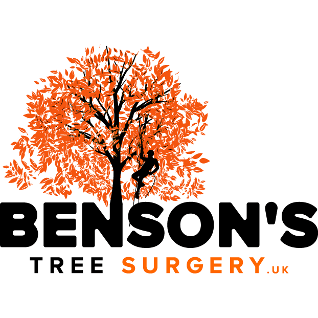 LOGO Bensons Tree Surgery Ltd Glasgow 07841 905145