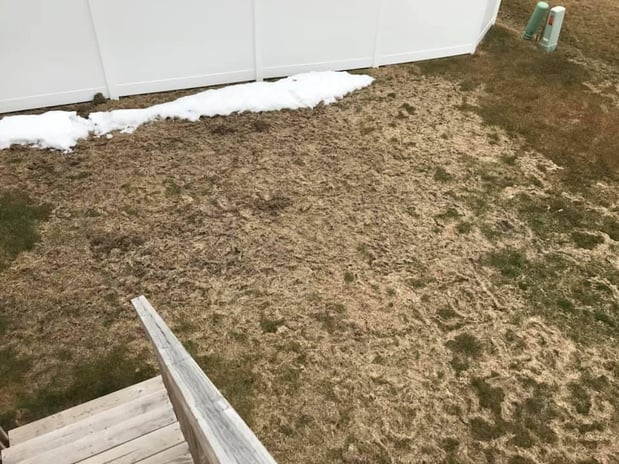 Images Advantage Pest Control