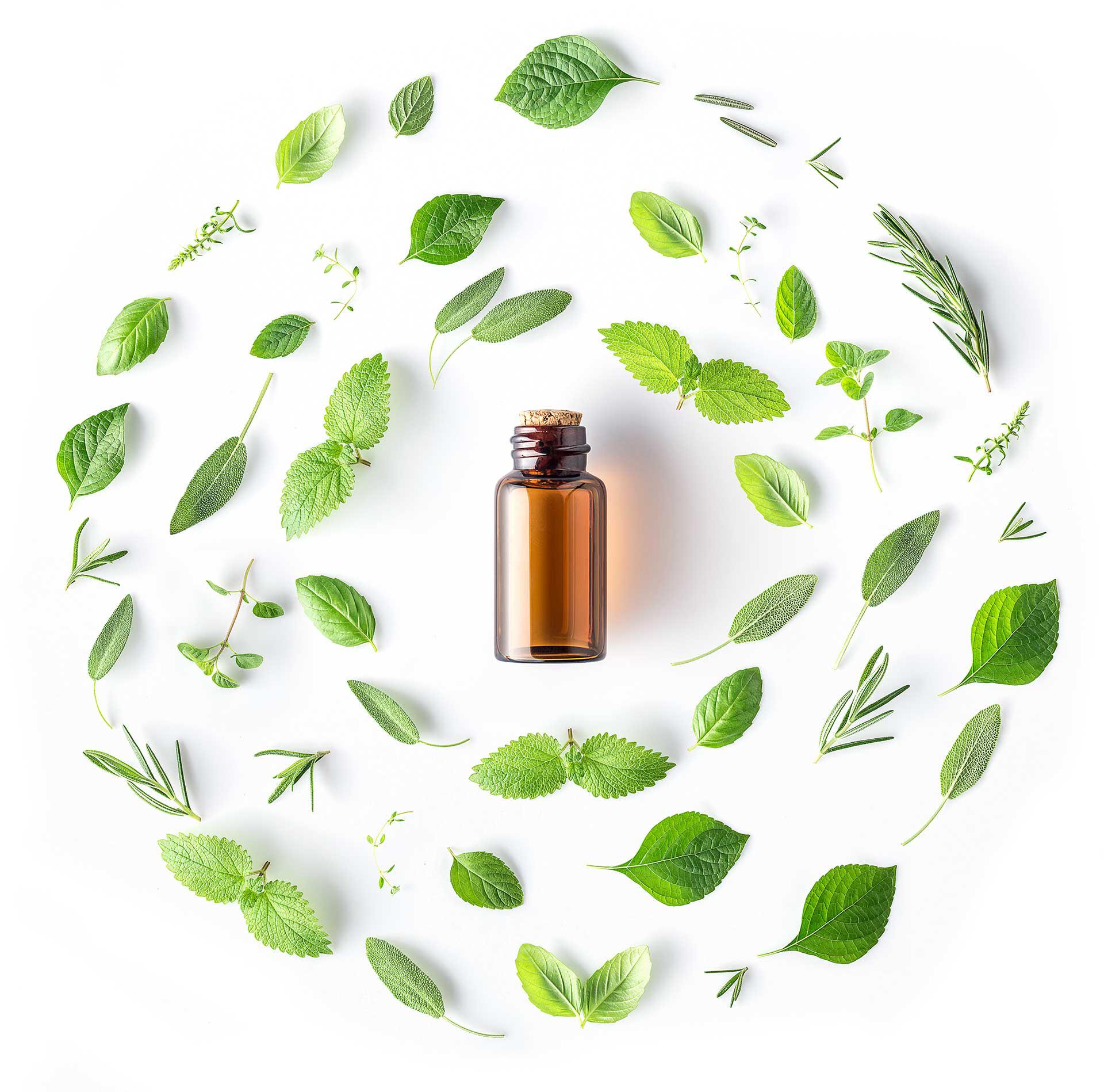 Essencia AG, Stäffelistrasse 8 in Winterthur