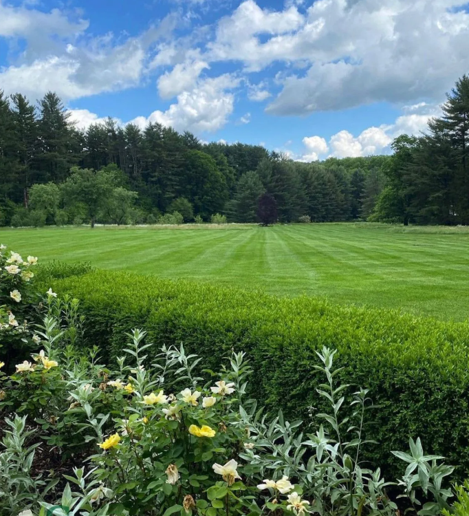Lucky Lawn Stamford (203)329-8141