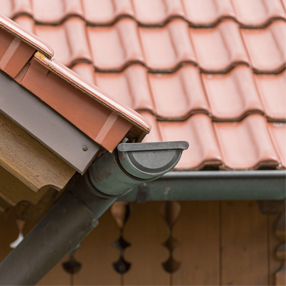 Antonio TX gutter cleaning near me
Hollywood Park