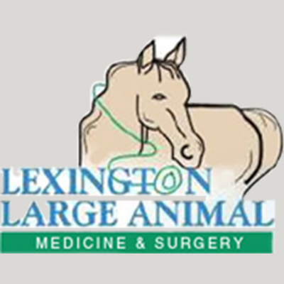 Lexington Large Animal Medicine & Surgery - Lexington, NC 27295 - (336)787-4901 | ShowMeLocal.com