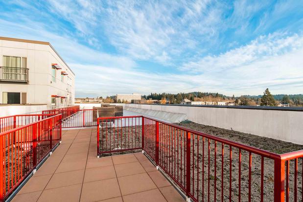 Images The Patterson Social Apartments