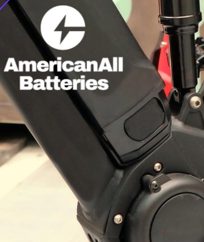 Images American All Batteries