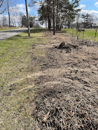 JD Stump Grinding LLC Logo