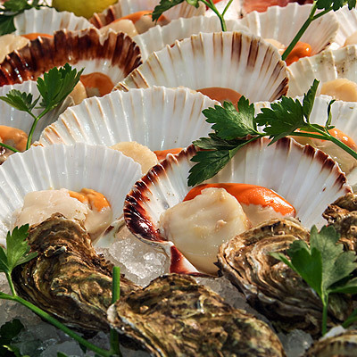 Ristorante Mediterraneo da Berto