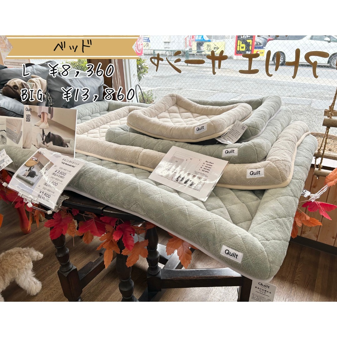 Images たまとポチ 宇津木店