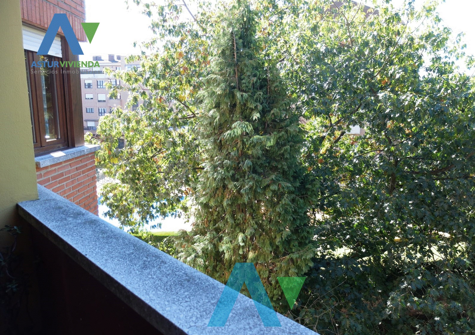 Images Asturvivienda Inmobiliaria