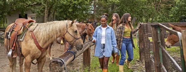 Images Outbound Mammoth