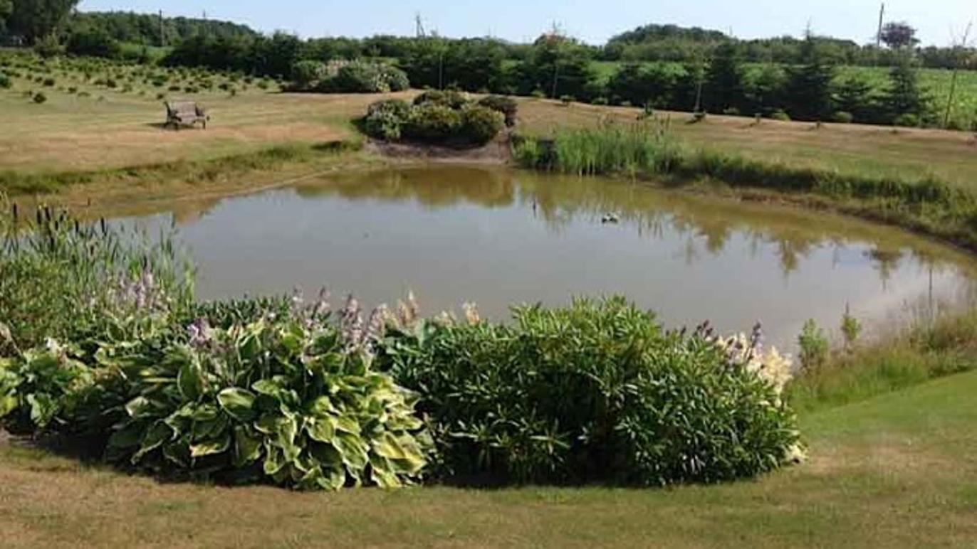 Images Anlægsgartner Frank Hansen Aps