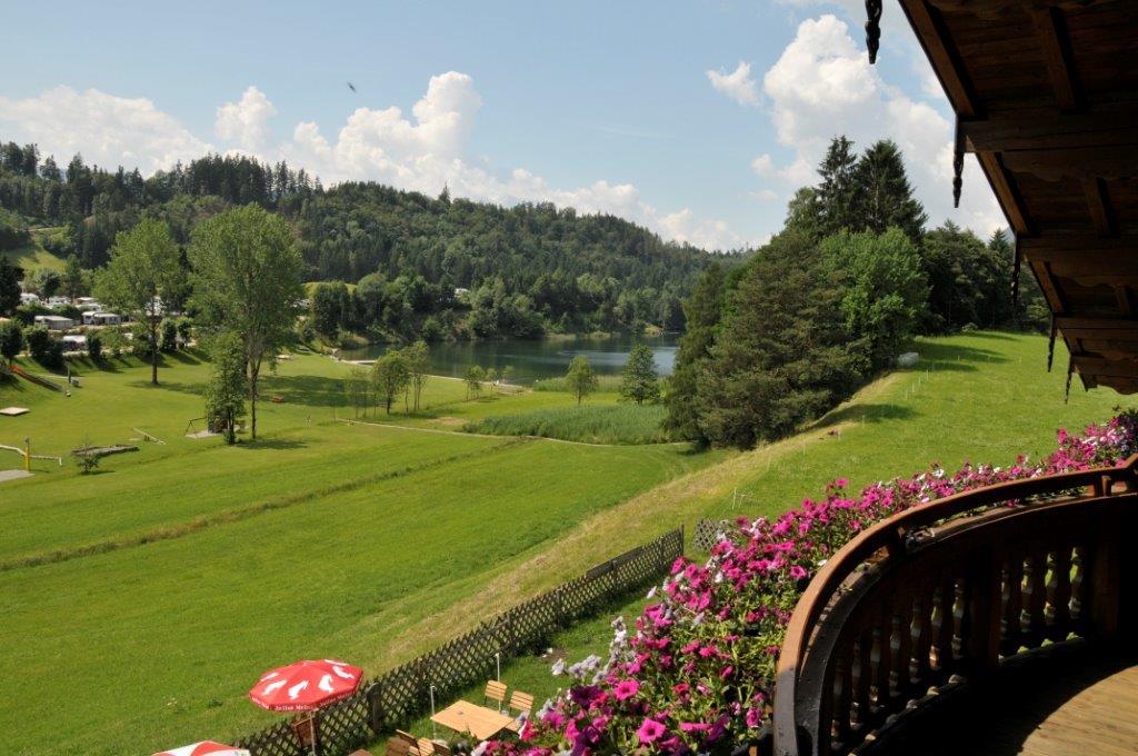 Bild 10 von Haflingerhof Fam. Vögele