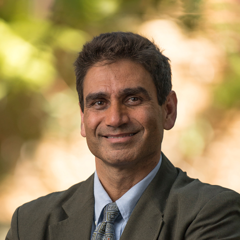Dr Rajan Perkash