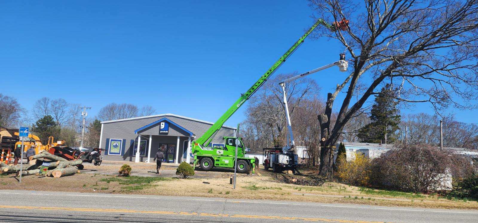 Affordable Tree Experts LLC Image