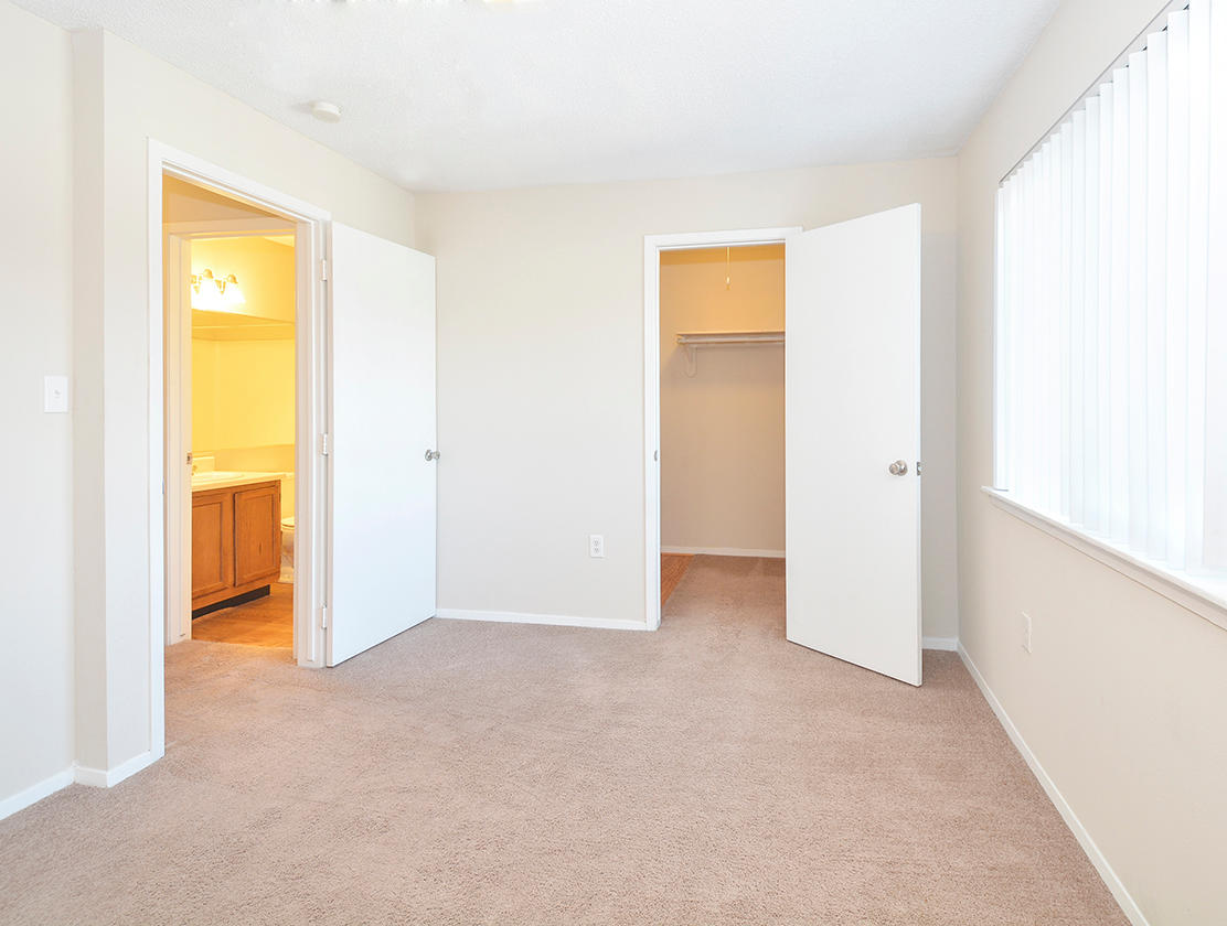 Bedroom With Walk-In Closet