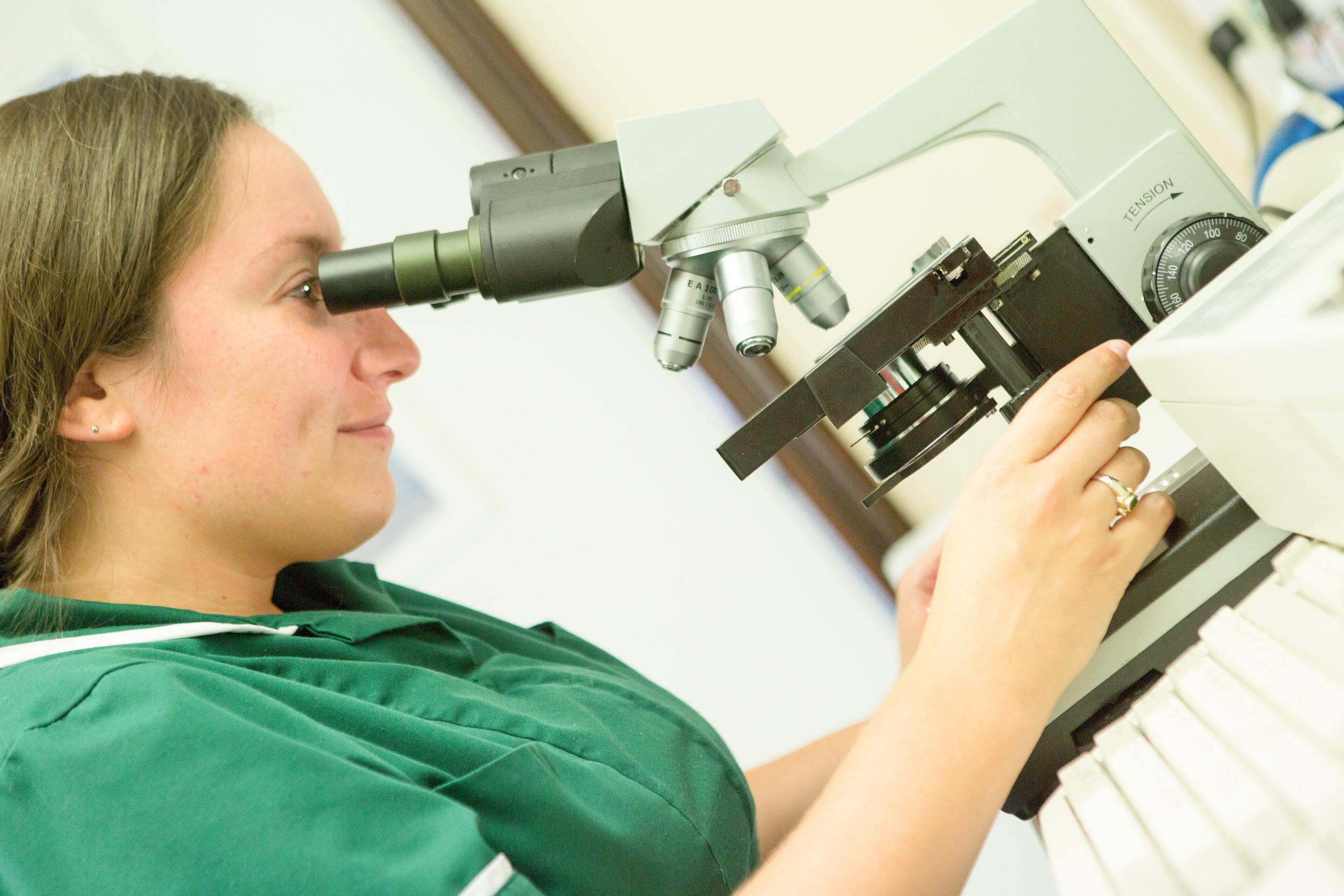 Images The Animal Clinic