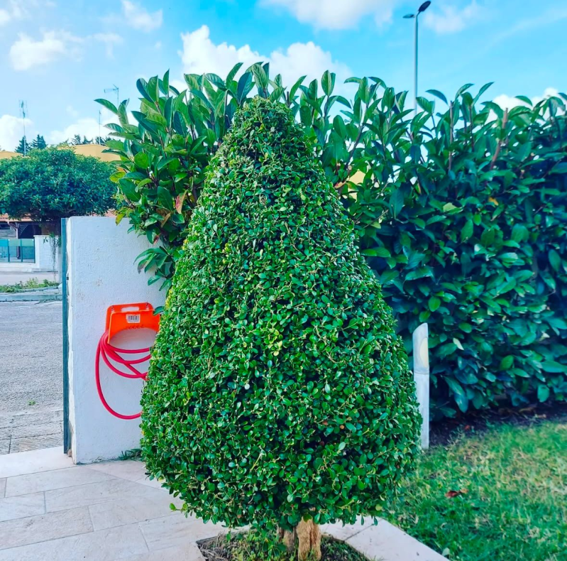 Images Linea Verde di Marrocco Pantaleo