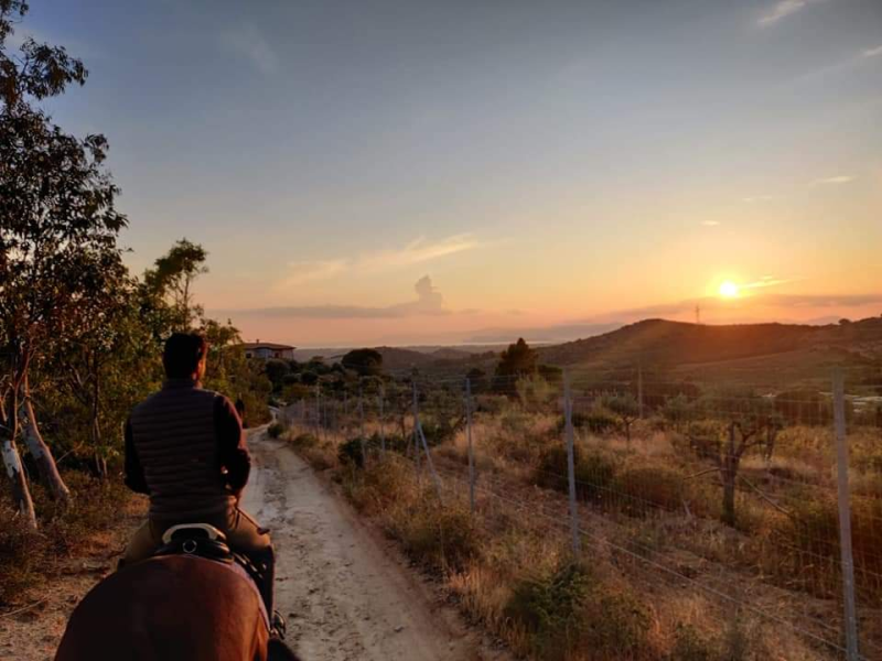 Images Centro Equestre Mirmex ASD