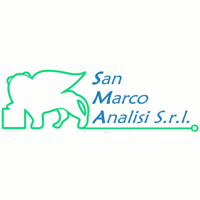 San Marco Analisi Srl Logo