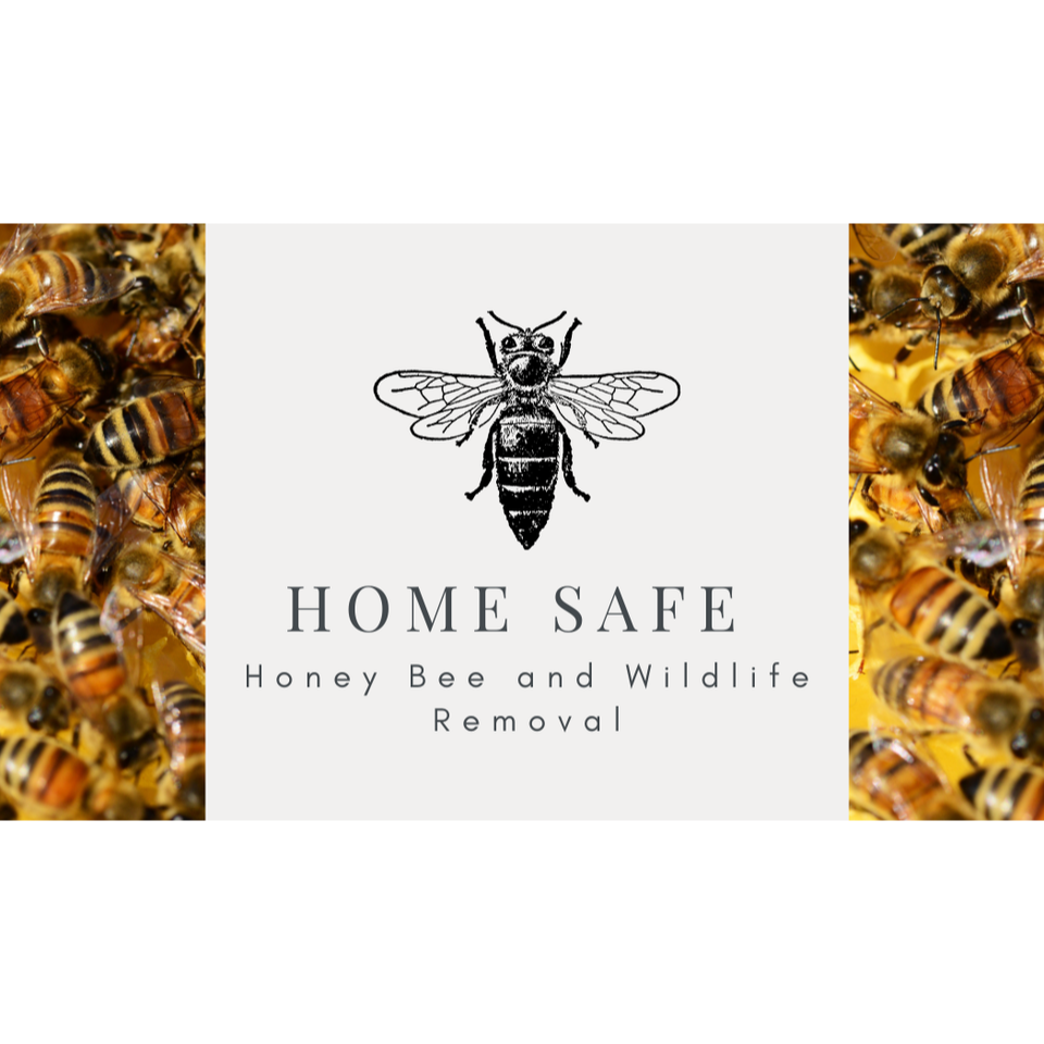 HomeSafe Honey Bee and Wildlife Removal Service Logo