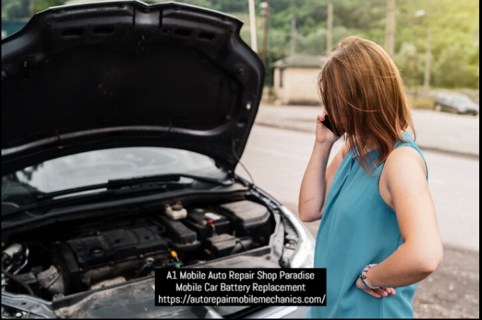 Images A1 Mobile Auto Repair Shop Paradise