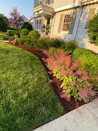 Images Superior Service Lawn Care