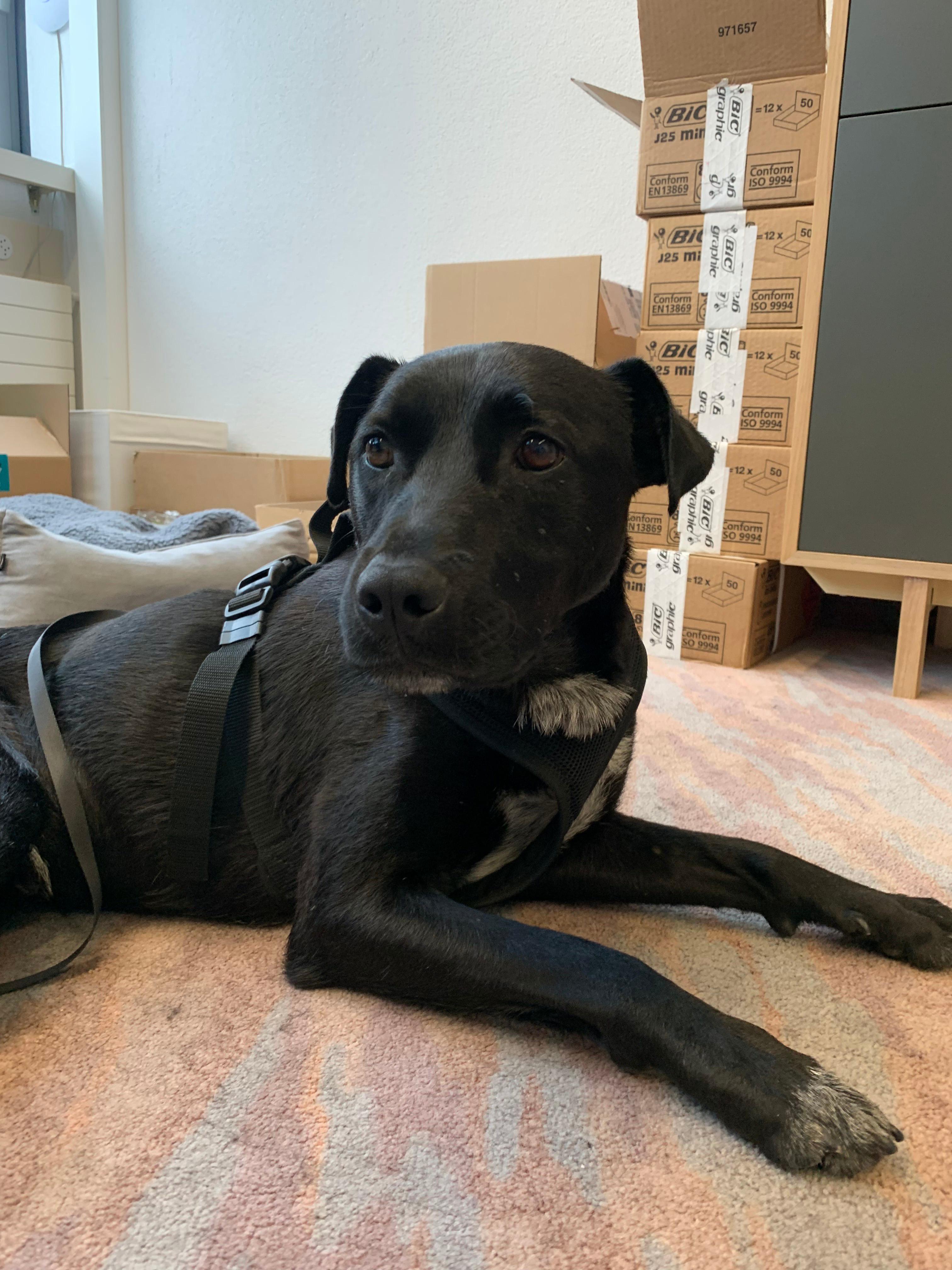 CANWAY Schweiz GmbH, Wehntalerstrasse 6 in Oberglatt