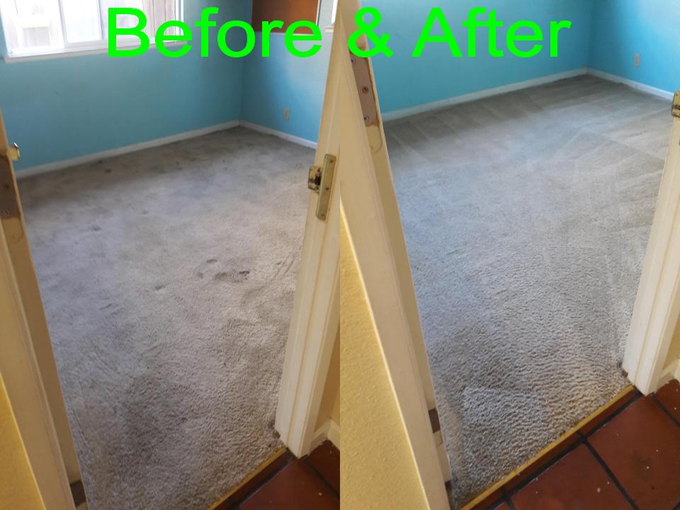 Able Body Carpet & Restoration Photo