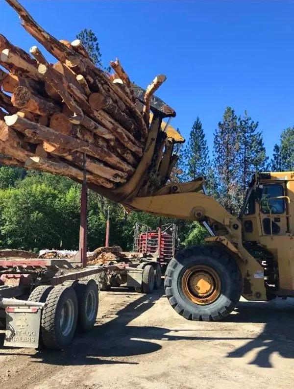 Images Oregon Wood Sales