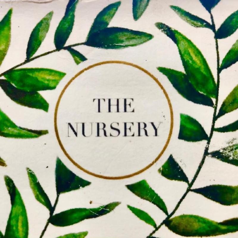 The Nursery - The Hidden Gem Logo