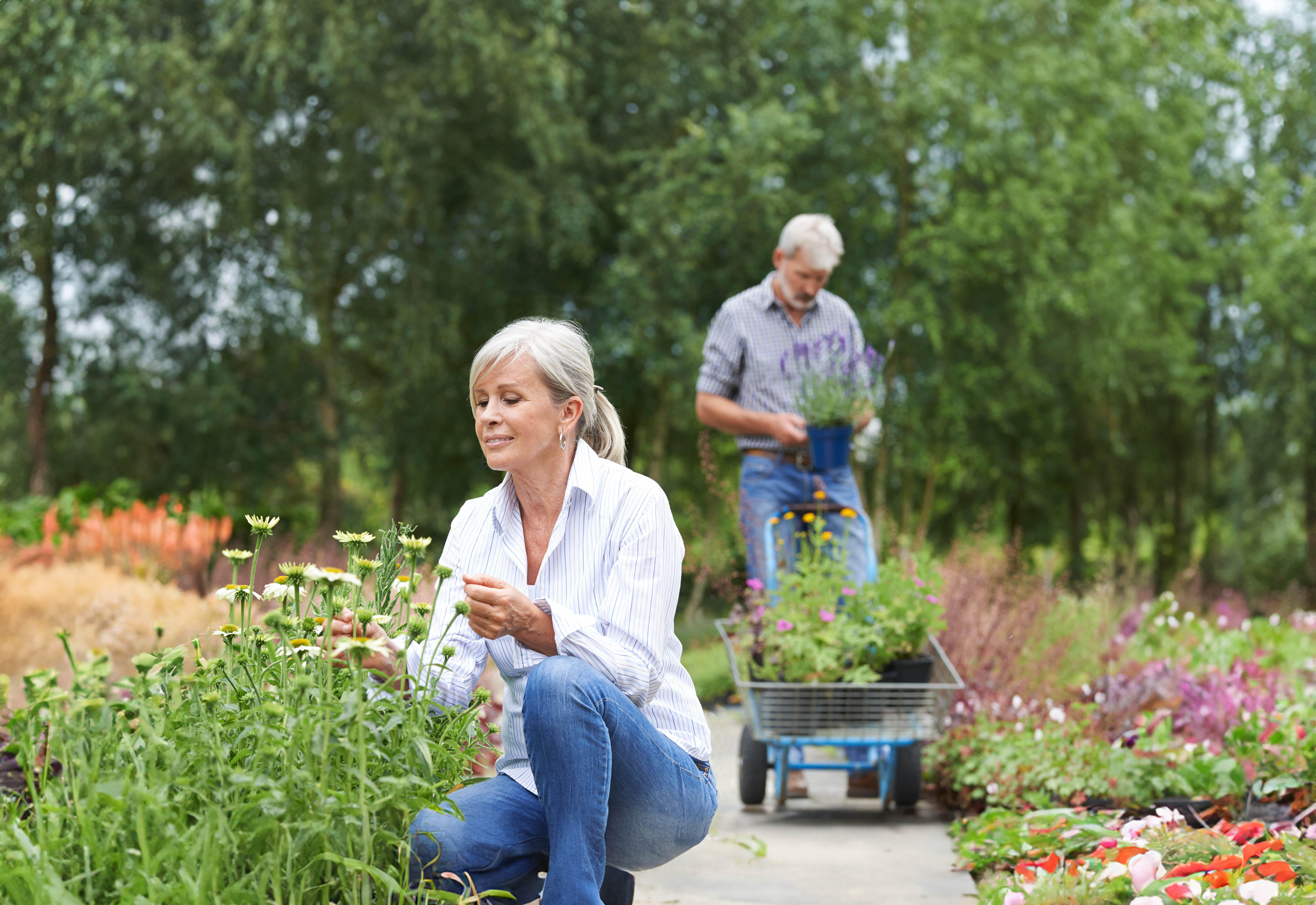 Community Gardens at Alden's Reach