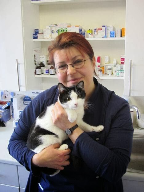 Images The Animal Clinic