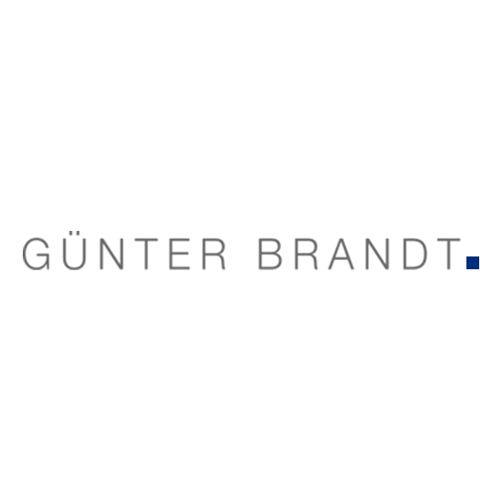 Logo Steuerberater Vereidigter Buchprüfer Günter Brandt