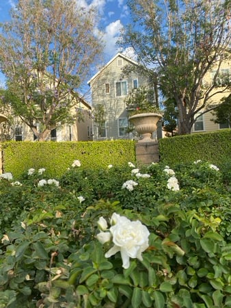 Images Stanton Lewis - Elevate Real Estate Agency