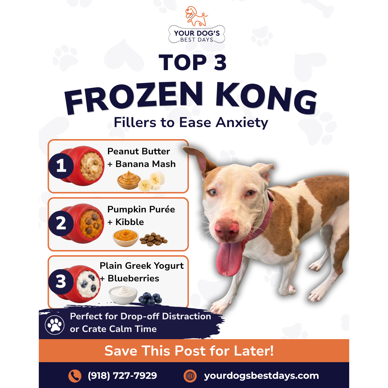 Informational graphic featuring three frozen Kong filling recipes for dogs, including healthy ingredient ideas to keep pets mentally stimulated and entertained.