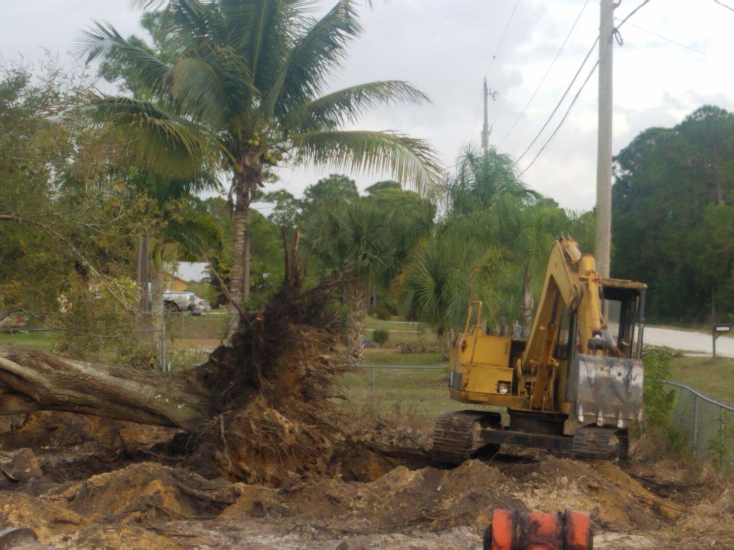 Lee's Excavating of South Florida, LLC Photo