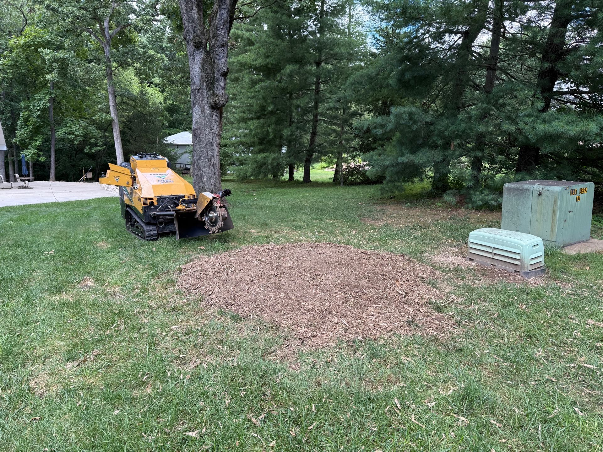 Patriot Tree Service Image