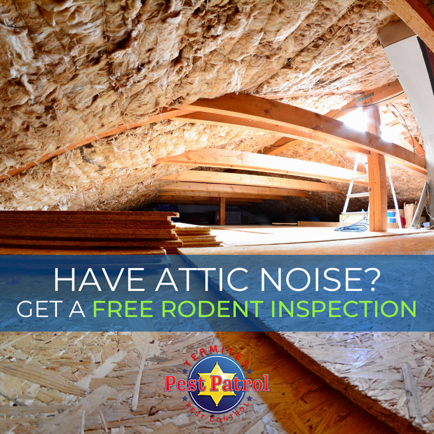 Images Pest Patrol, Inc.