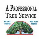 A Professional Tree Service