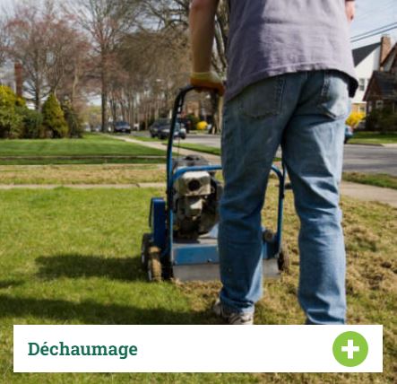 Images Gazon Plus - Tonte et Entretien Paysager