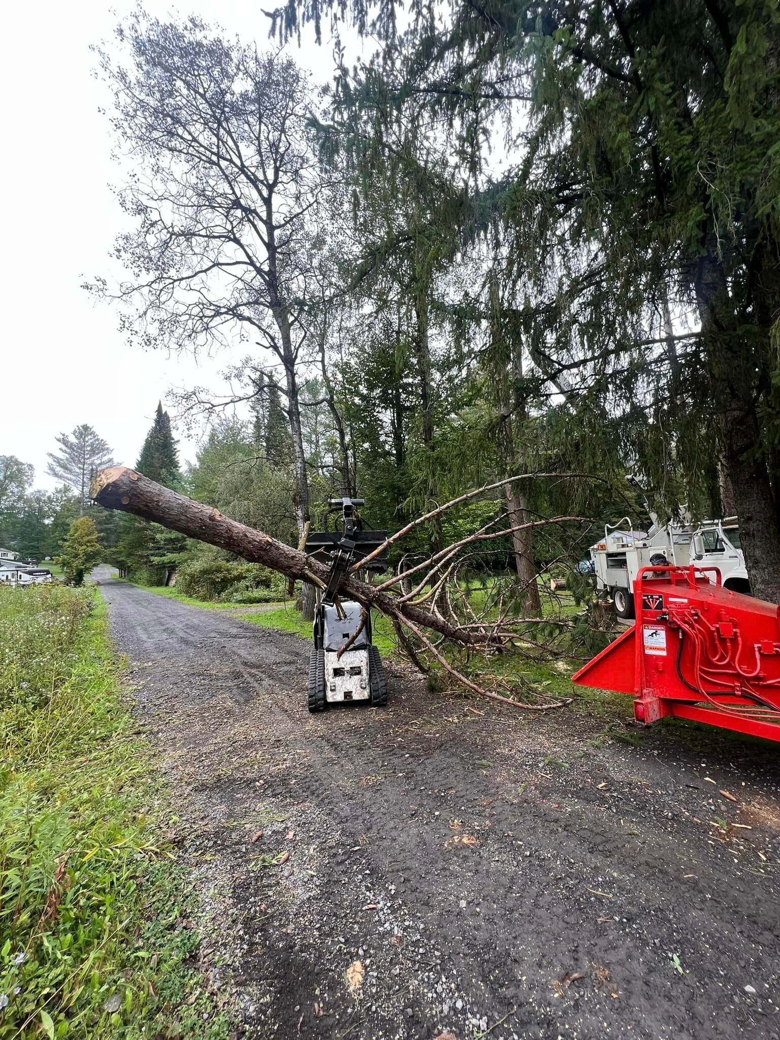 J & J Tree Services Image