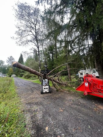 Images J & J Tree Services