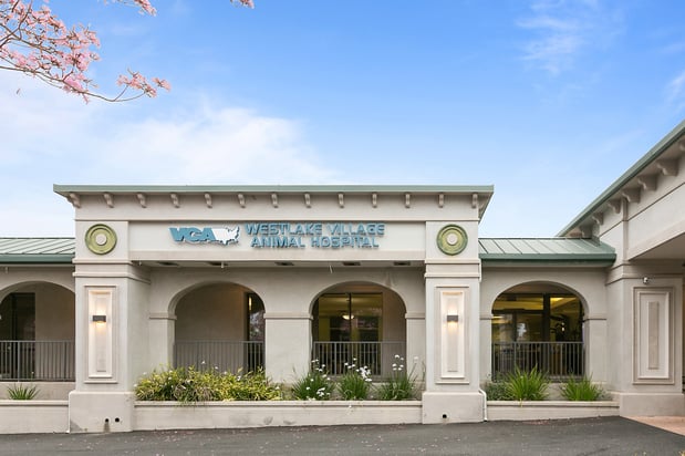 Images VCA Westlake Village Animal Hospital
