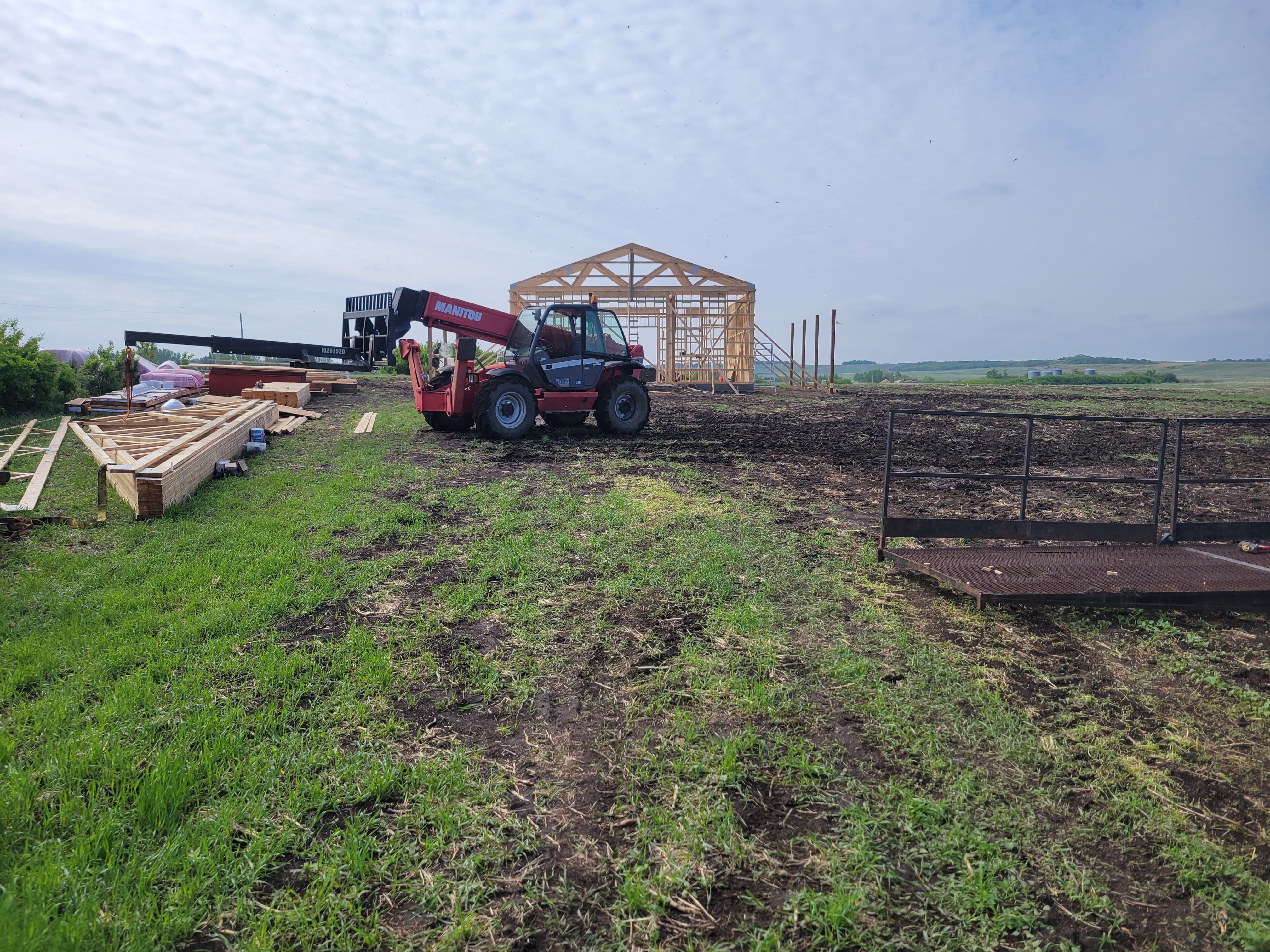 Images The Blue Spruce Builder