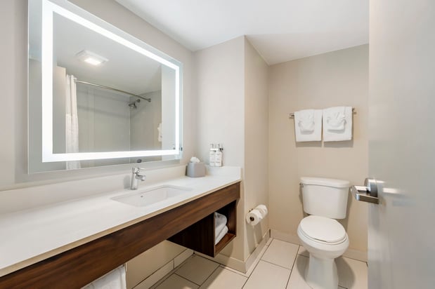Images Holiday Inn Express & Suites Nashville Southeast - Antioch by IHG