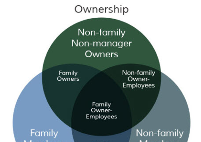 Venn diagram showing the overlaps between family, business, and ownership.