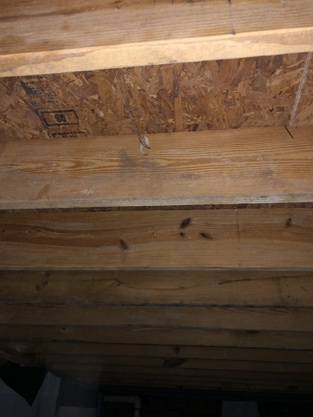 Images Ox Foundation Solutions