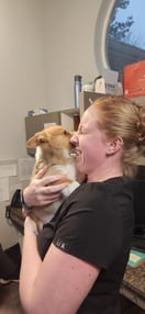 Images VCA Peone Pines Animal Hospital
