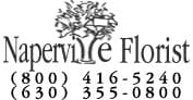 Naperville Florist - Naperville, IL 60540 - (630)355-0800 | ShowMeLocal.com