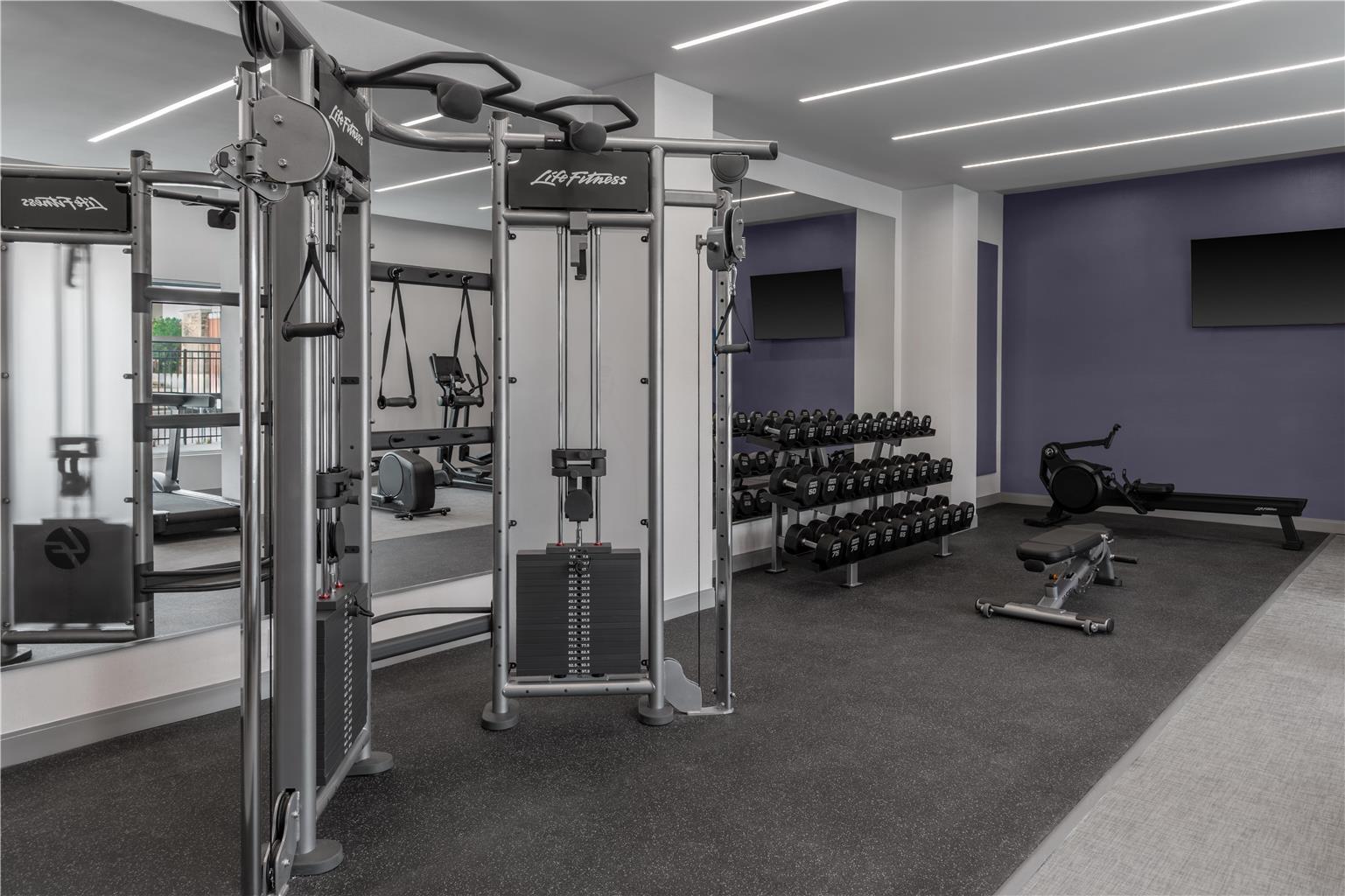 Health club  fitness center  gym 